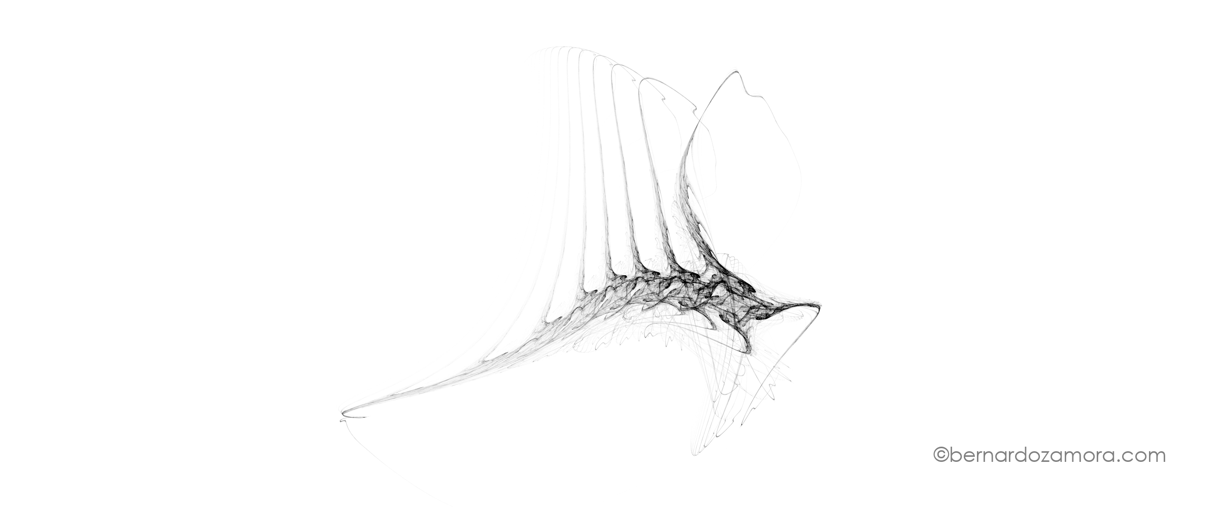 A delicate, abstract monochrome fractal generated via an Iterated Function System on a white background, featuring sweeping, skeletal curves and parallel vertical ridges that evoke the organic structure of a marine sailfin or prehistoric fossil.