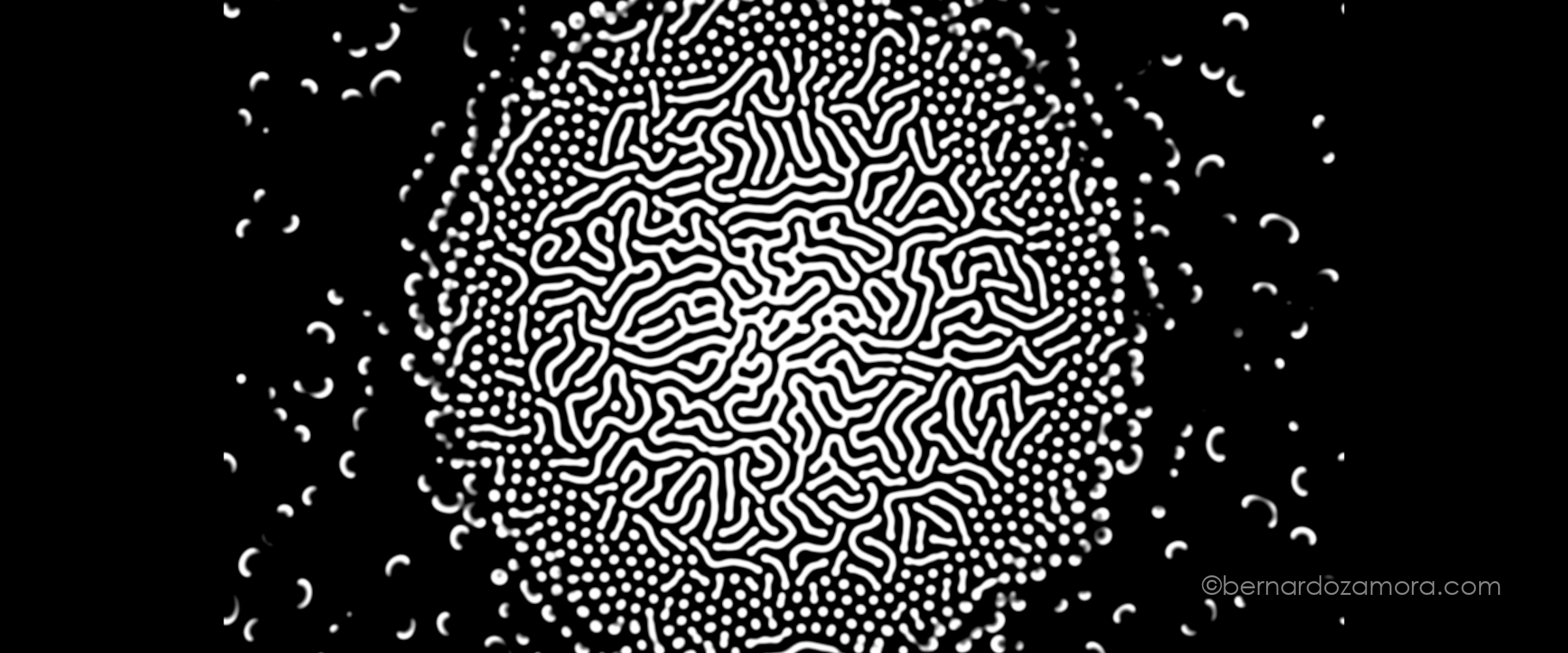 Intricate organic pattern generated by mixing two simulated chemicals